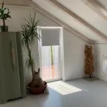 Pampas * Sveti Filip i Jakov