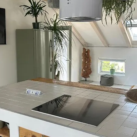 Pampas Apartment