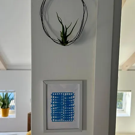 Apartment Pampas Sveti Filip i Jakov