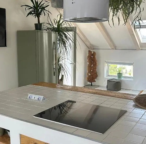 Pampas Апартаменты